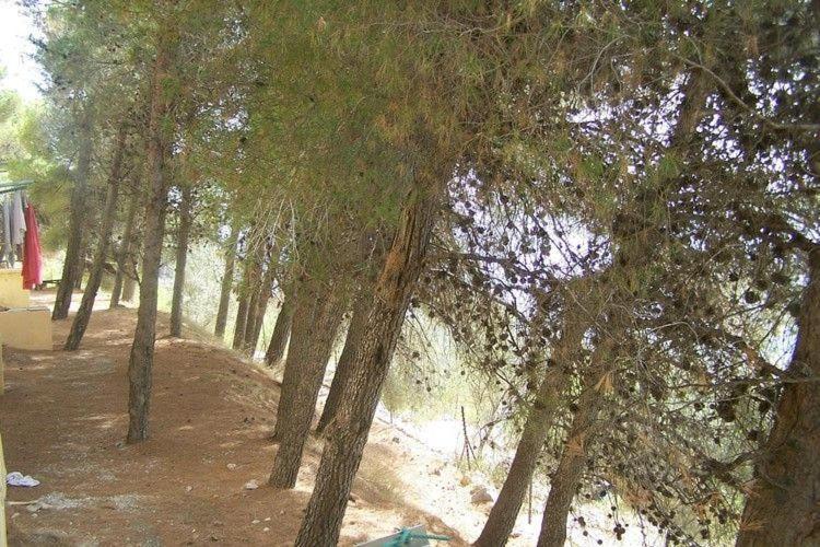 Cortijo Del Alcazar Apartment อัลเกาซิน ห้อง รูปภาพ