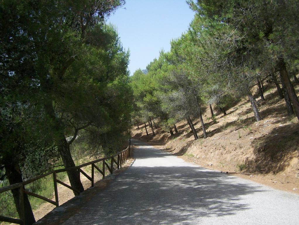 Cortijo Del Alcazar Apartment อัลเกาซิน ภายนอก รูปภาพ