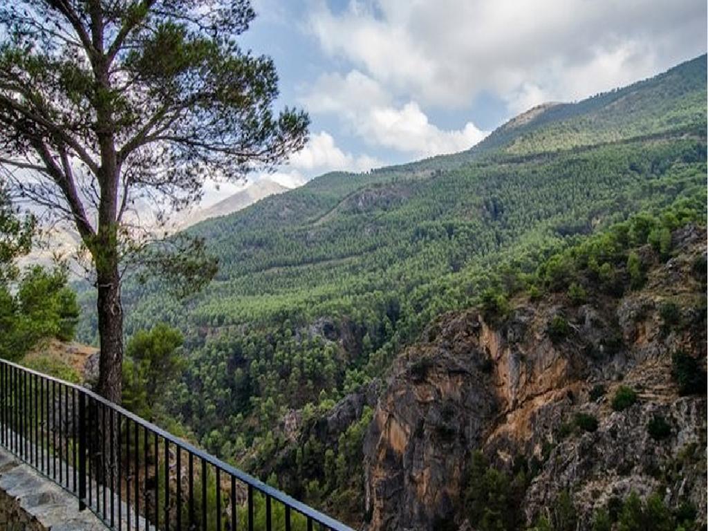Cortijo Del Alcazar Apartment อัลเกาซิน ภายนอก รูปภาพ