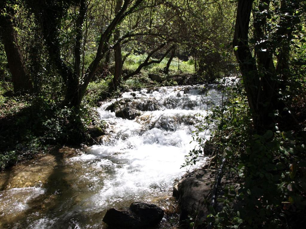 Cortijo Del Alcazar Apartment อัลเกาซิน ภายนอก รูปภาพ